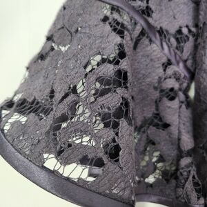 Adrianna PapellElegant Lace Dress in Purple/Grey